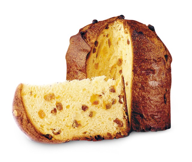 Classic Panettone