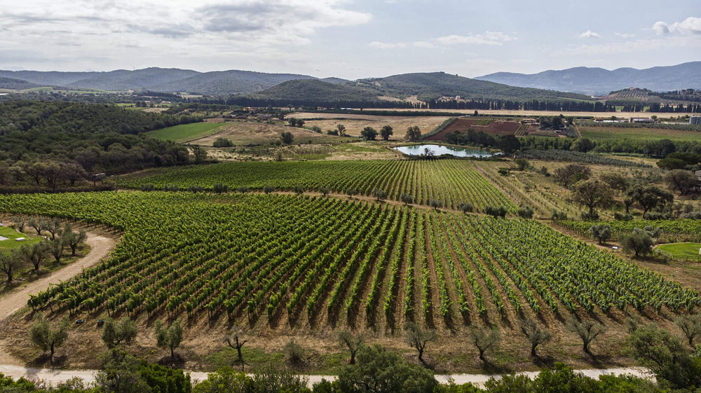 Nina Maremma Toscana DOC 2024