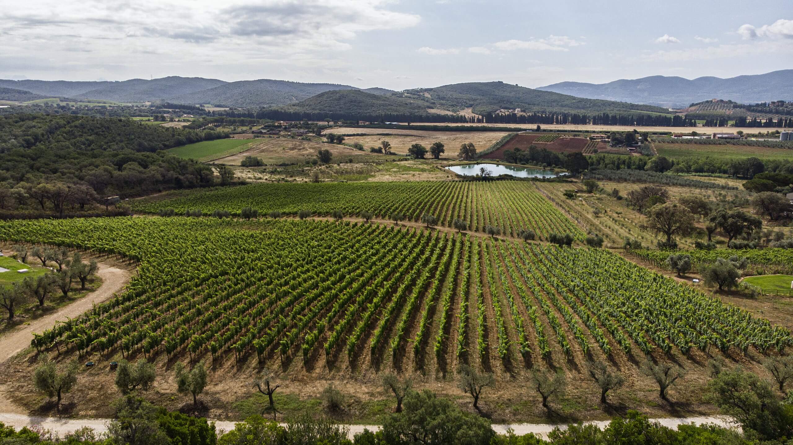 Nina Maremma Toscana DOC 2024